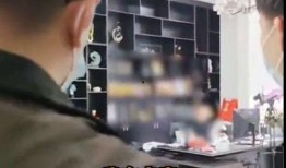 陕西老李前妻爆料新闻视频,揭秘婚姻内幕，真相令人震惊